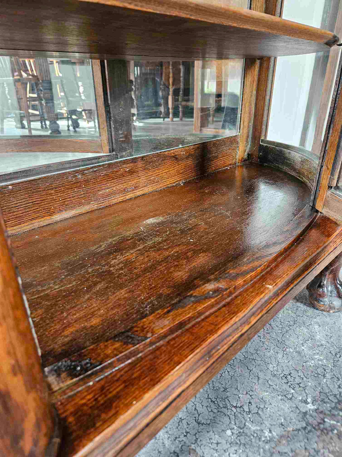 Tiger Oak Curved Display Cabinet